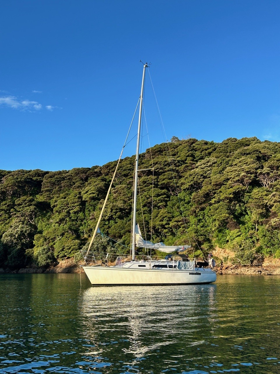 Sensation gallery image 15