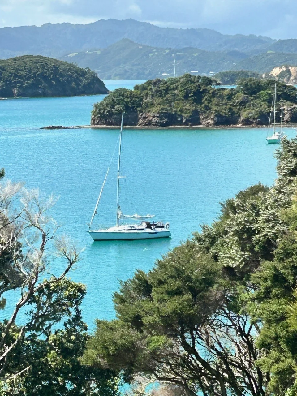 A sheltered Bay of Islands anchorage