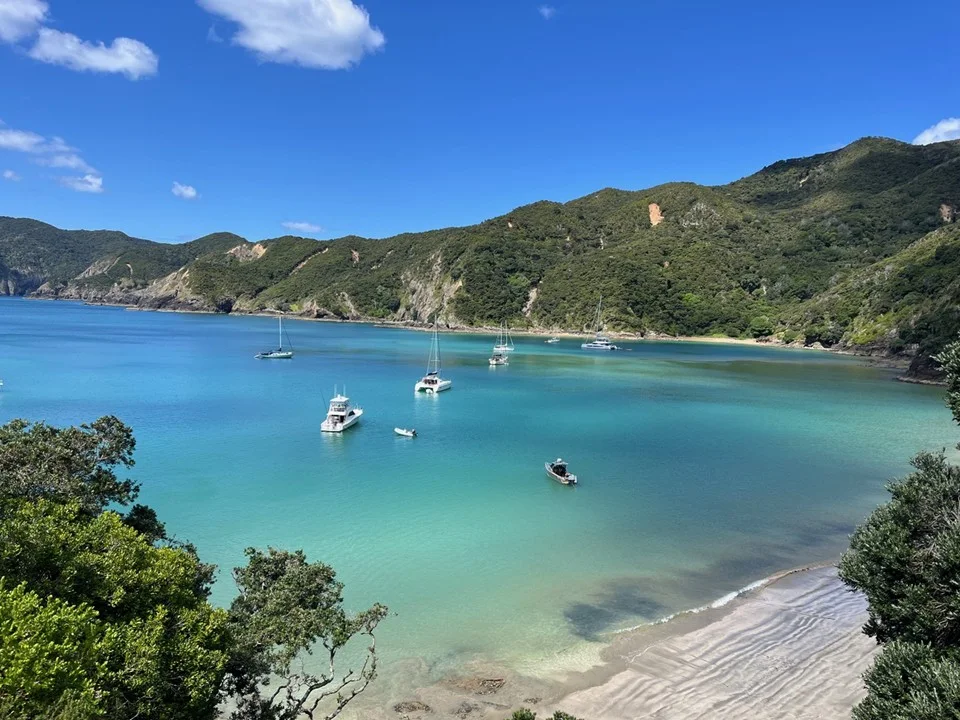 Yachts in a turquoise Bay of Islands anchorage