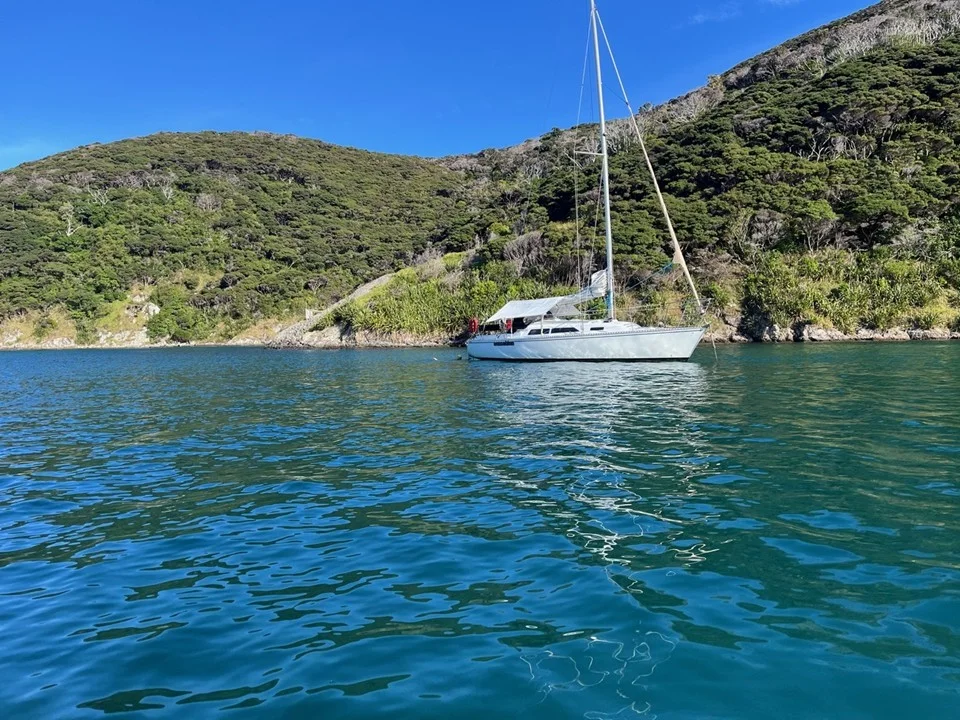 Sensation at anchor