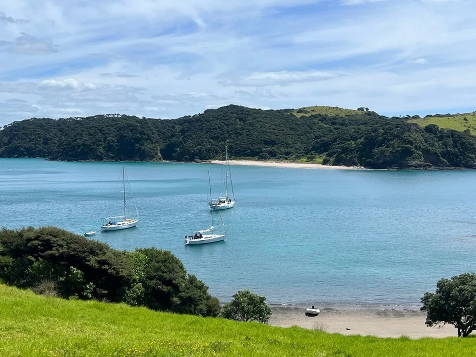 Yachts resting in the sheltered waters of the Bay of Islands
