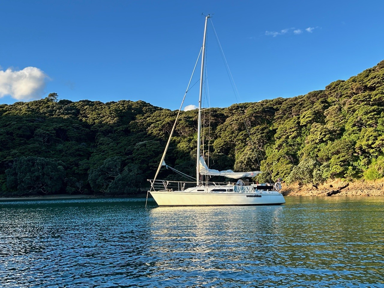 Sensation gallery image 17