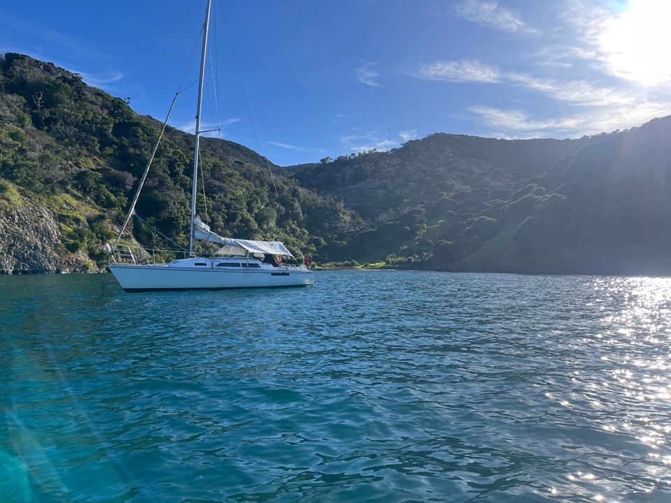 Sensation gallery image 36