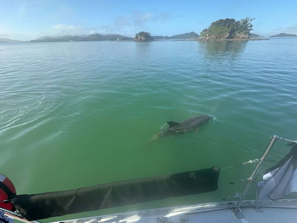 Sensation gallery image 42