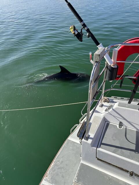 Sensation gallery image 43